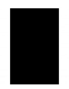 Vignette du document file « 2016FES52529O »