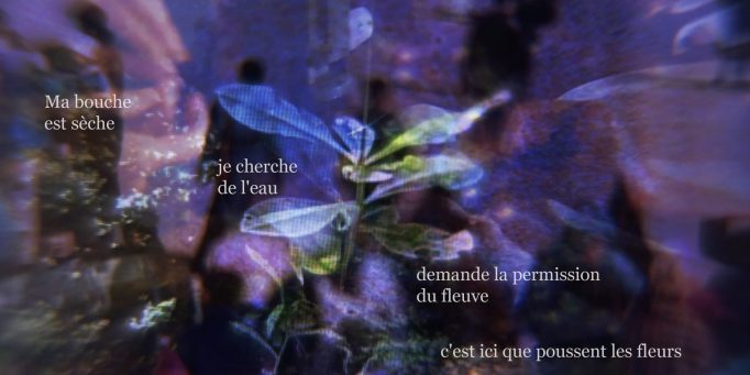 Une image bleu-violet, rêveuse et pixelisée d'une plante. A blue-purple, dreamy pixelated image of a plant. Le texte superposé est le suivant, The superimposed text reads, in french with english translations, en francais avec traduction en anglais: ma bouche est sèche (my mouth is dry), je cherche de l'eau (I am searching for water), demande la permission du fleuve ( ask permission from the river), c'est ici qui poussent les fleurs (it is here that the flowers grow).